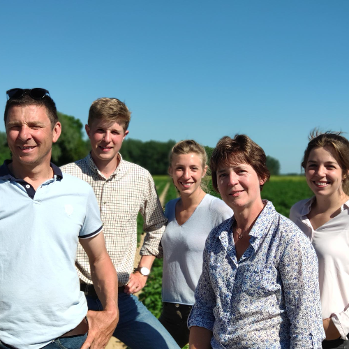 Au panier vert // coopérative agricole