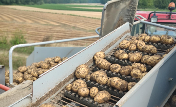 Au panier vert // coopérative agricole